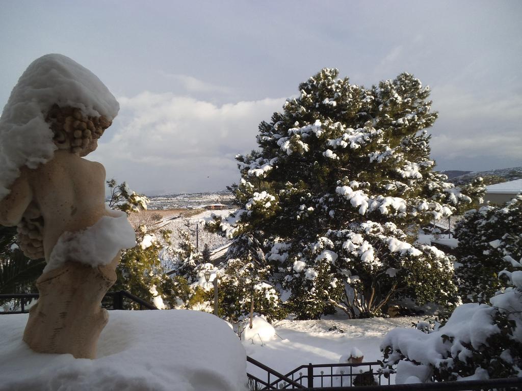 Etna Wine Azienda Agrituristica Passopisciaro エクステリア 写真