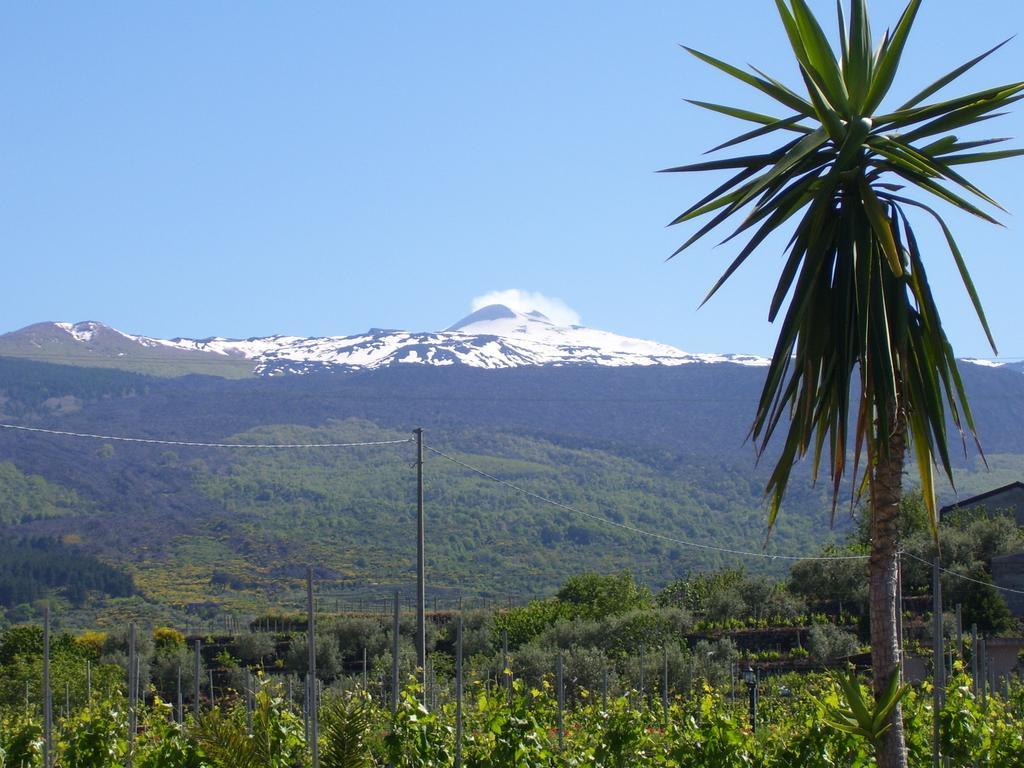 Etna Wine Azienda Agrituristica Passopisciaro エクステリア 写真